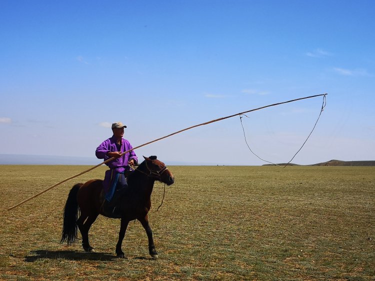 Уургач бугуйлчдын Адуун соёлын тэмцээн-Фото агшин