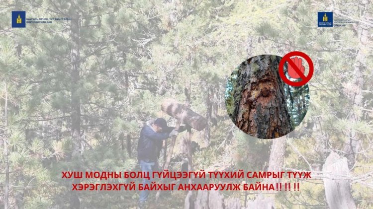 ХУШ МОДНЫ САМАР ТҮҮЖ, БЭЛТГЭХ ХУГАЦАА