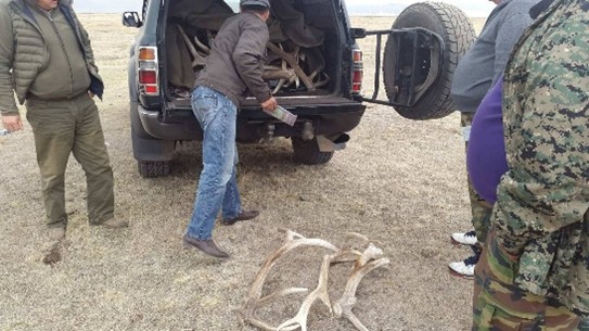 ХУУЛЬ БУС АНГИЙН ЧИГЛЭЛЭЭР ХЯНАЛТ ШАЛГАЛТ ХИЙГДЭЖ БАЙНА