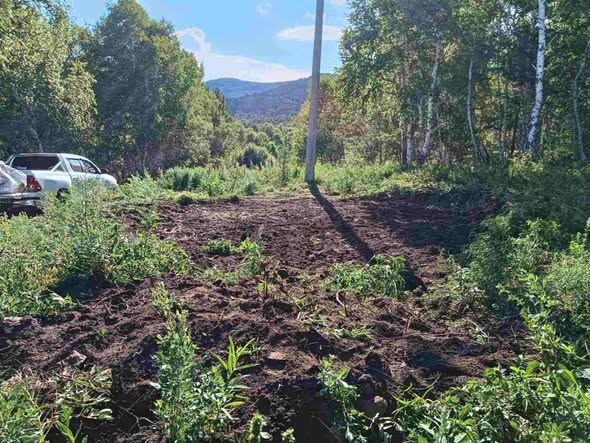 НОЁН УУЛЫН ДАРХАН ЦААЗАТ ГАЗАРТ ХУУЛЬ ЗӨРЧСӨН ҮЙЛ АЖИЛЛАГААГ ТАСЛАН ЗОГСООЛОО