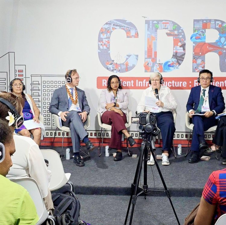 Б.БАТБААТАР САЙД "ДЭЛХИЙН ДЭД БҮТЦИЙН ТОГТВОРТОЙ БАЙДЛЫН ТАЙЛАН-2025" НЭЭЛТТЭЙ ХУРАЛДААНД ИЛТГЭЛ ТАВИЛАА