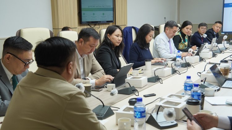 "ӨНӨ МӨНХИЙН МОНГОЛ" БАЙГАЛЬ ХАМГААЛЛЫН БАЙНГЫН САНХҮҮЖИЛТИЙН ХӨТӨЛБӨРИЙН ЯВЦЫН МЭДЭЭЛЛИЙГ СОНСЛОО