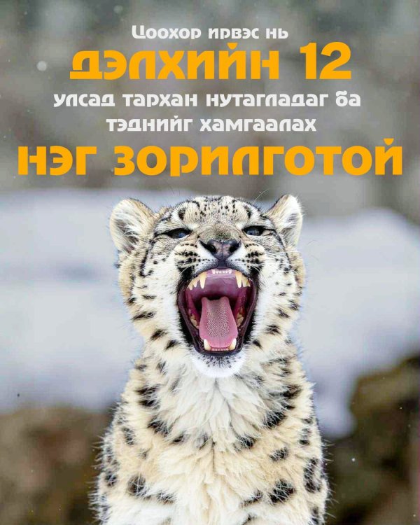 МОНГОЛ БОЛ ИРВЭСИЙН ГОЛ ЦӨМ НУТАГ