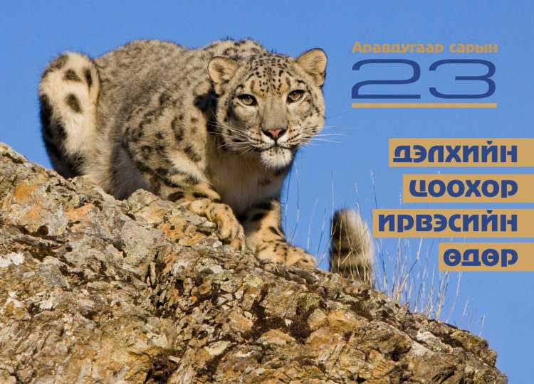 ОЛОН УЛСЫН ЦООХОР ИРВЭСИЙН ӨДӨР ТОХИОЖ БАЙНА