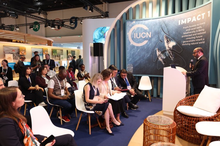 “2026 ОНЫГ БЭЛЧЭЭРИЙН МЕНЕЖМЕНТИЙН ХУВЬД МОНГОЛ УЛС ТӨДИЙГҮЙ ДЭЛХИЙ ДАХИНД АЛТАН БОЛОМЖ БОЛНО” ГЭЖ ТОДОРХОЙЛСОН АБУ ДАБИ-ГИЙН ЧУУЛГАН БОЛОВ