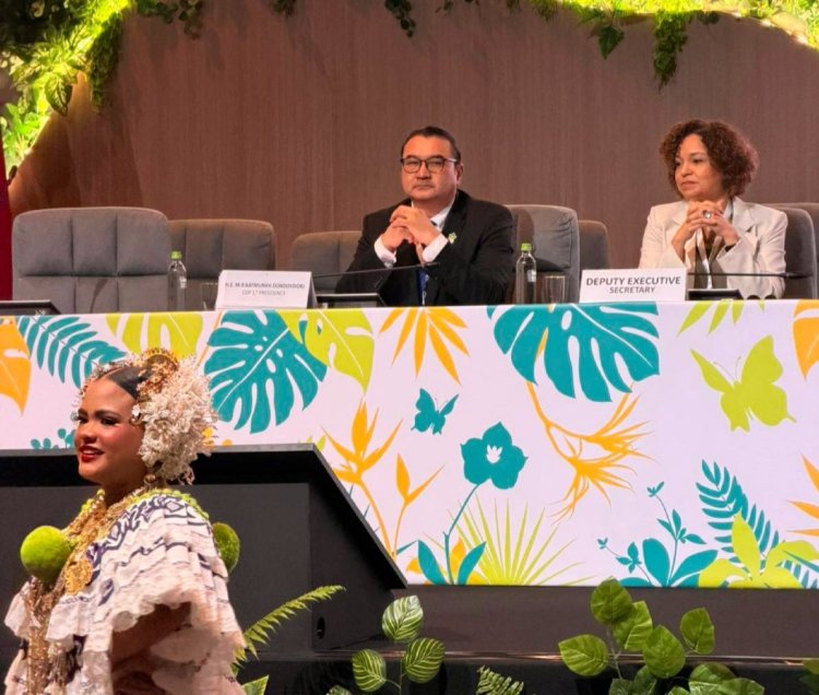 ПАНАМАД ЭХЭЛСЭН UNCCD-23: МОНГОЛ УЛС COP17-ЫН БЭЛТГЭЛ АЖЛАА ТАНИЛЦУУЛЖ БАЙНА