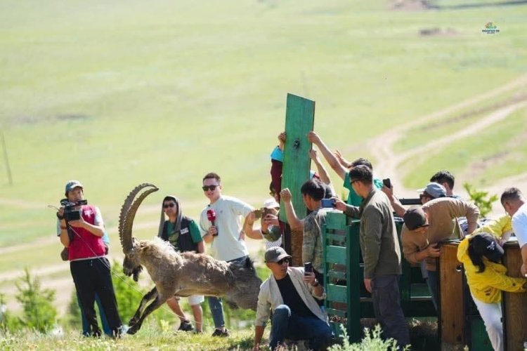 АРХАНГАЙ АЙМАГ СҮҮЛИЙН ГУРВАН ЖИЛД 48 ЯНГИР ЯМАА НУТАГШУУЛЛАА