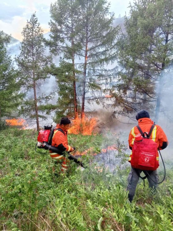 ОЙ, ХЭЭРИЙН 4 ТҮЙМРИЙГ УНТРААЖ, 5 ТҮЙМРИЙГ ЦУРАМД ОРУУЛЛАА