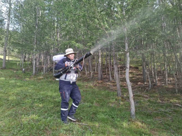 ЗАВХАН АЙМАГТ ҮҮРГИЙН ШҮРШИГЧ БАГАЖ АШИГЛАН ОЙН ХӨНӨӨЛТ ШАВЖТАЙ ТЭМЦЭХ АЖЛЫГ ЗОХИОН БАЙГУУЛЖ БАЙНА
