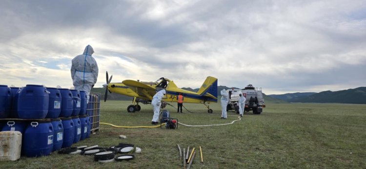 ХӨВСГӨЛ АЙМАГТ ОЙН ХӨНӨӨЛТ ШАВЖИЙН ТЭМЦЛИЙН АЖИЛ ХИЙЖ ГҮЙЦЭТГЭЛЭЭ