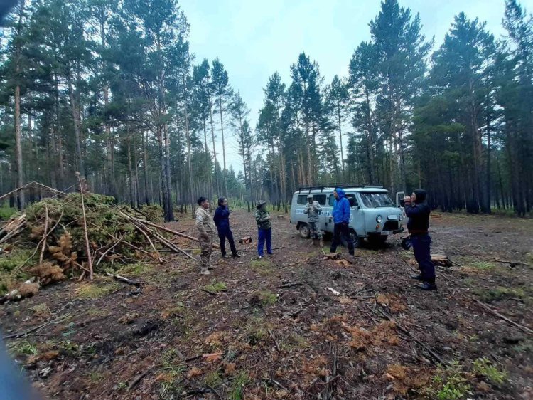 ОЙН ЧИГЛЭЛЭЭР УРЬДЧИЛАН СЭРГИЙЛЭХ ШАЛГАЛТ ҮРГЭЛЖИЛЖ БАЙНА