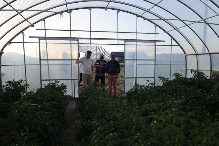 БОУАӨ-ИЙН САЙД Б.БАТБААТАР “НОГООН ХЭРЭМ” МОД ҮРЖҮҮЛГИЙН ТАЛБАЙД АЖИЛЛАЛАА