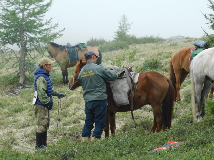 ЦООХОР ИРВЭСНИЙ ТАРХАЦ НУТГИЙГ ТОДОРХОЙЛОХ СУДАЛГААНЫ АЖЛЫН ЭХНИЙ ХЭСЭГ АМЖИЛТТАЙ ӨНДӨРЛӨЛӨӨ