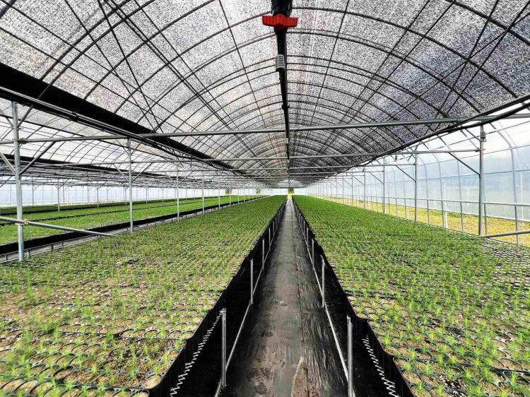 МОНГОЛ-СОЛОНГОСЫН ХАМТАРСАН "НОГООН ХЭРЭМ" ТӨСЛИЙН III ҮЕ ШАТ АМЖИЛТТАЙ ХЭРЭГЖИЖ БАЙНА